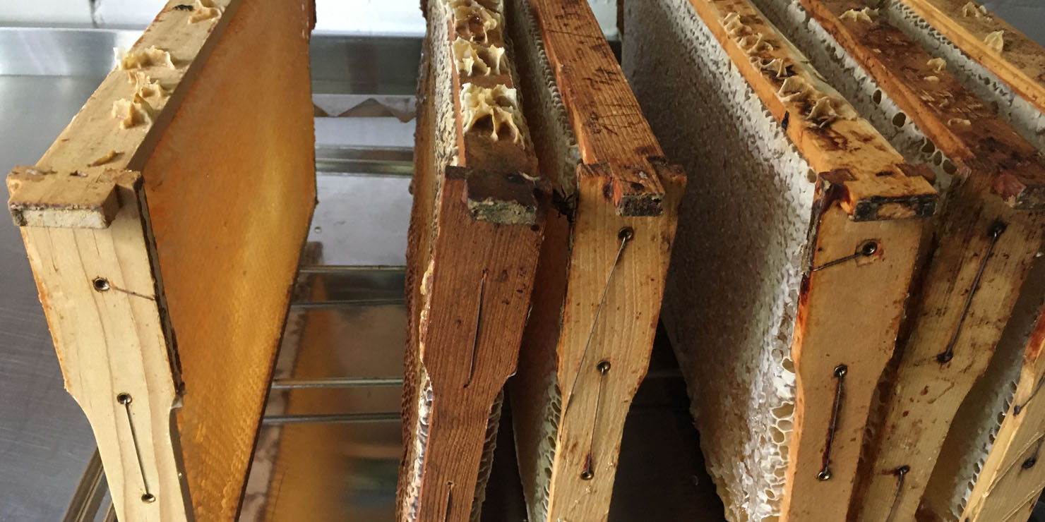 Bienenwaben